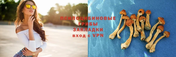 винт Аркадак