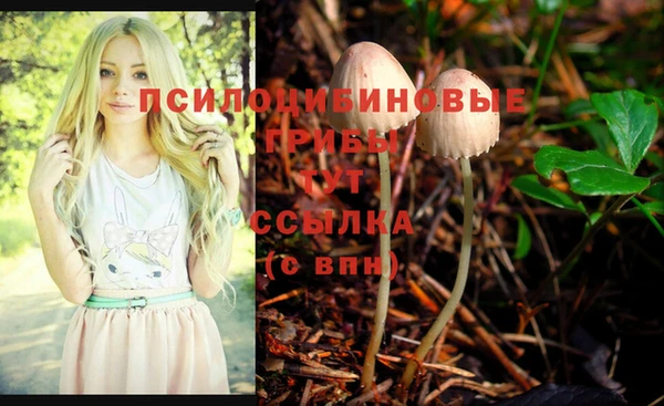 винт Аркадак