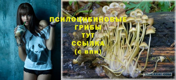 винт Аркадак
