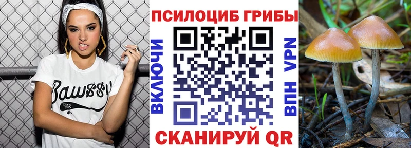 купить наркотик  Светлоград  Галлюциногенные грибы ЛСД 